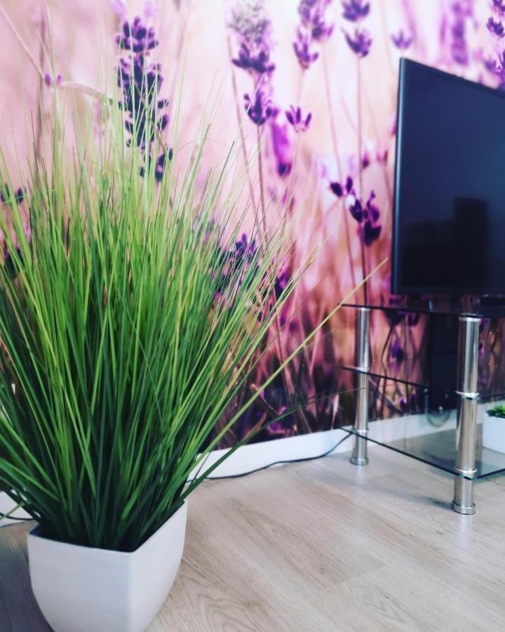 Ferienwohnung Lavanda Rust Exteriér fotografie